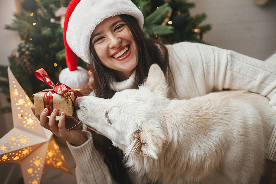The Ultimate Christmas Gift Is A Smile Makeover